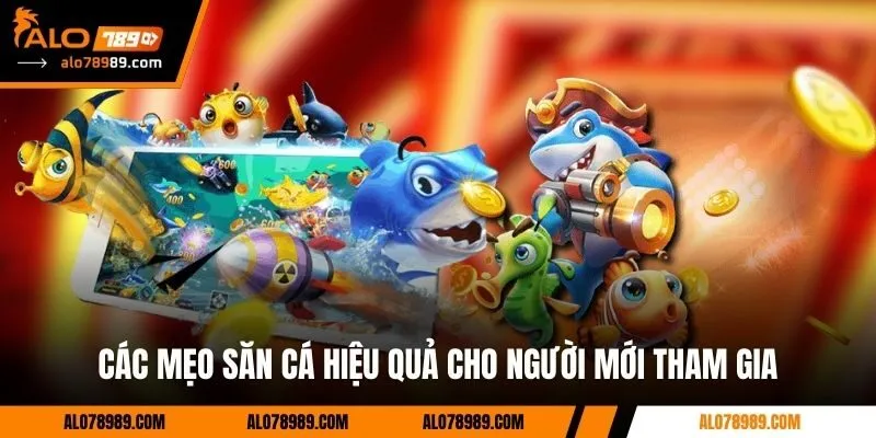 Các mẹo săn cá hiệu quả cho người mới tham gia